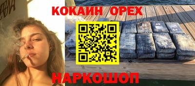 прущие грибы Балахна