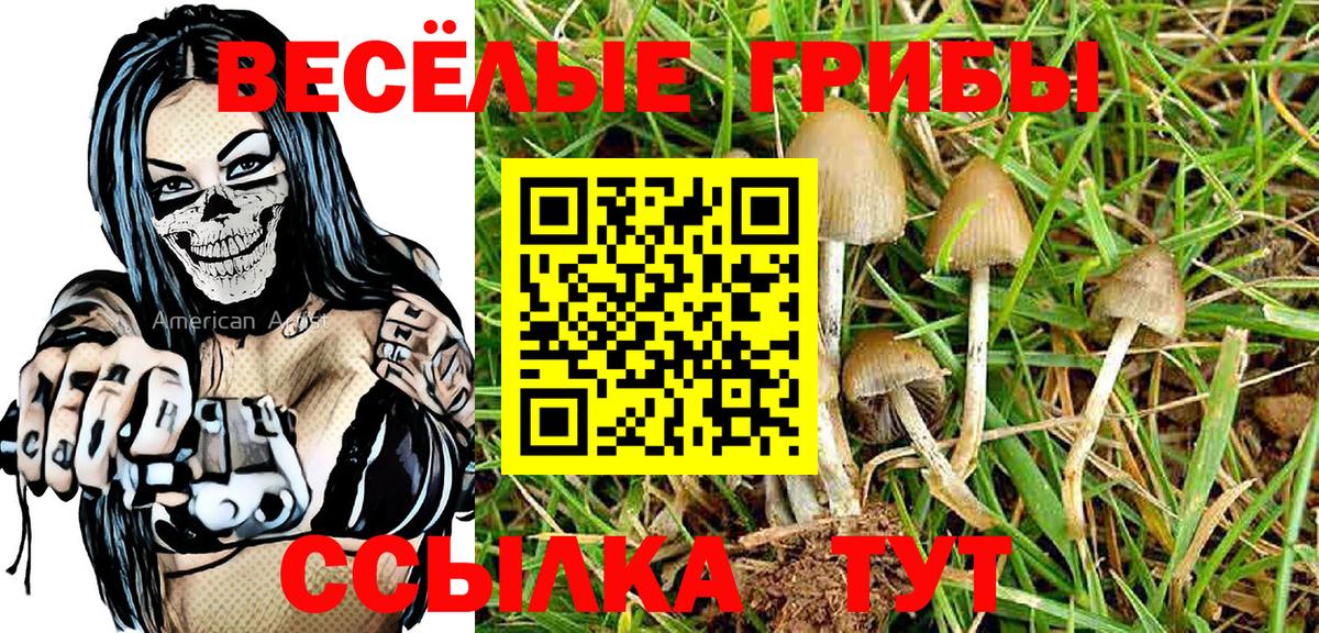 Галлюциногенные грибы мухоморы Будённовск